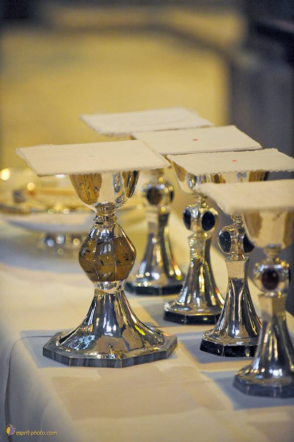 Nom de l'image : D30050268_1_1_(c)Norbert-JUNG — Description :